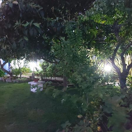 Vila Casa Do Sobral Óbidos Buitenkant foto