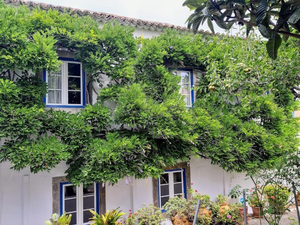 Vila Casa Do Sobral Óbidos Buitenkant foto
