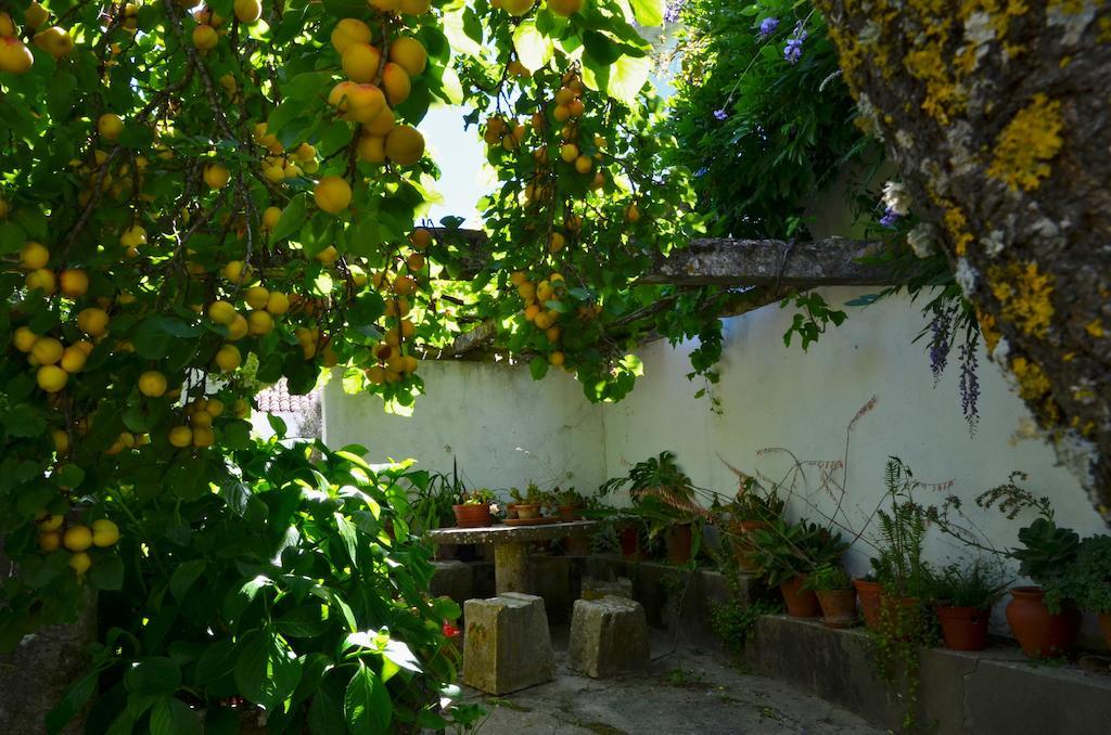 Vila Casa Do Sobral Óbidos Kamer foto