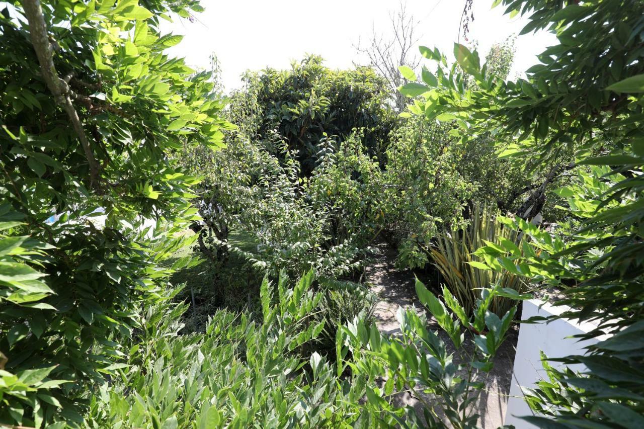 Vila Casa Do Sobral Óbidos Buitenkant foto
